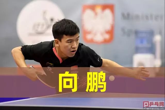 不仅仅是最 不仅仅是最