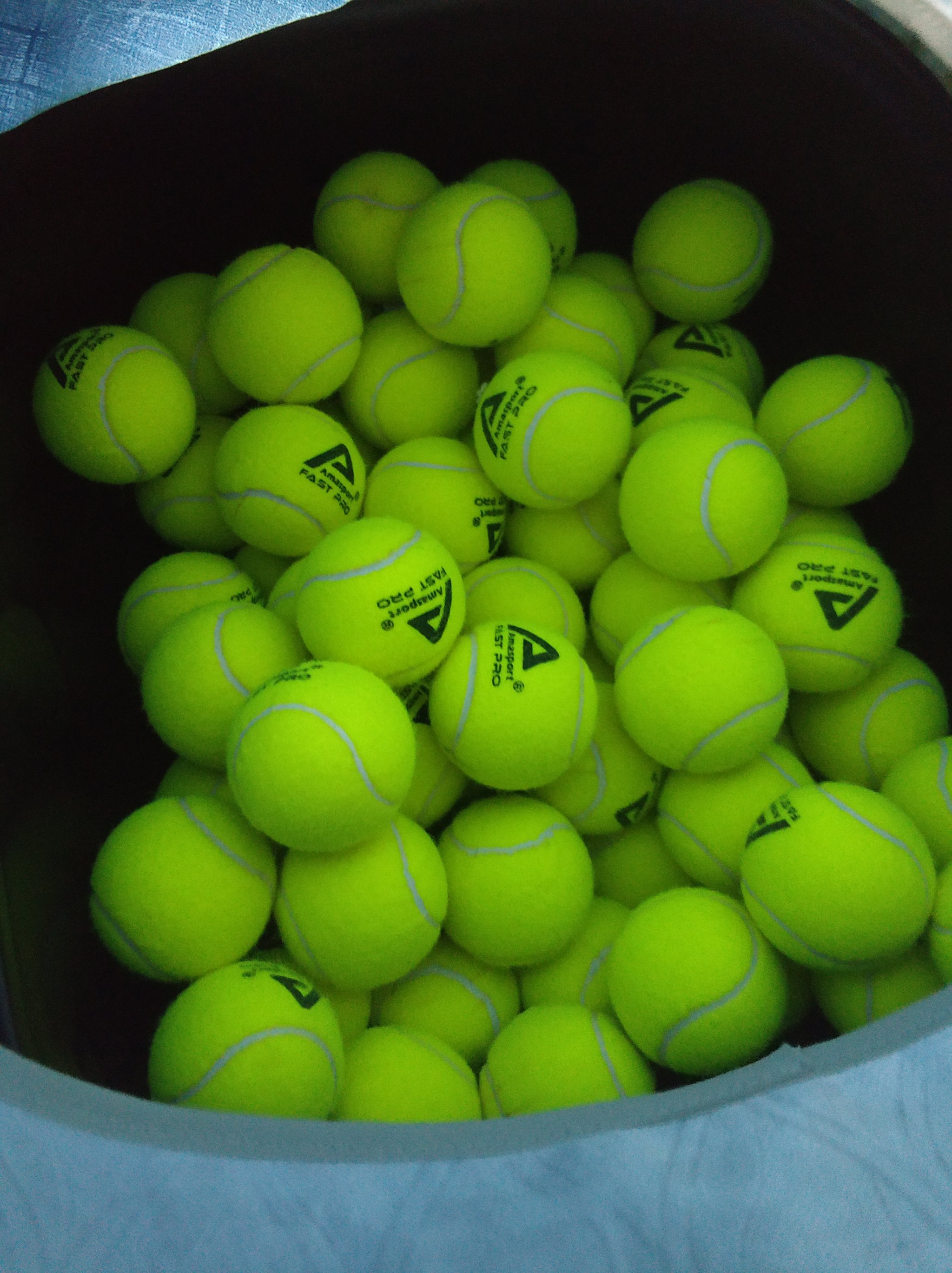 善于在不利 善于在不利