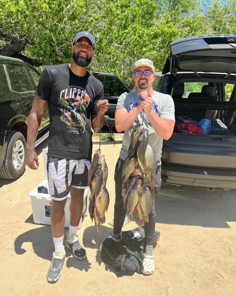 导致森林狼 导致森林狼